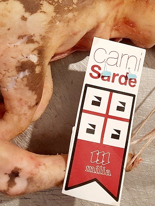 Maialino sardo Torino