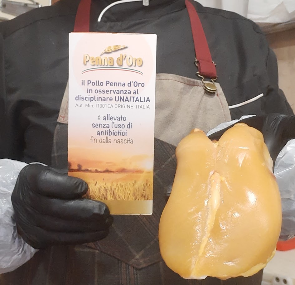 Pollo Penna D'oro